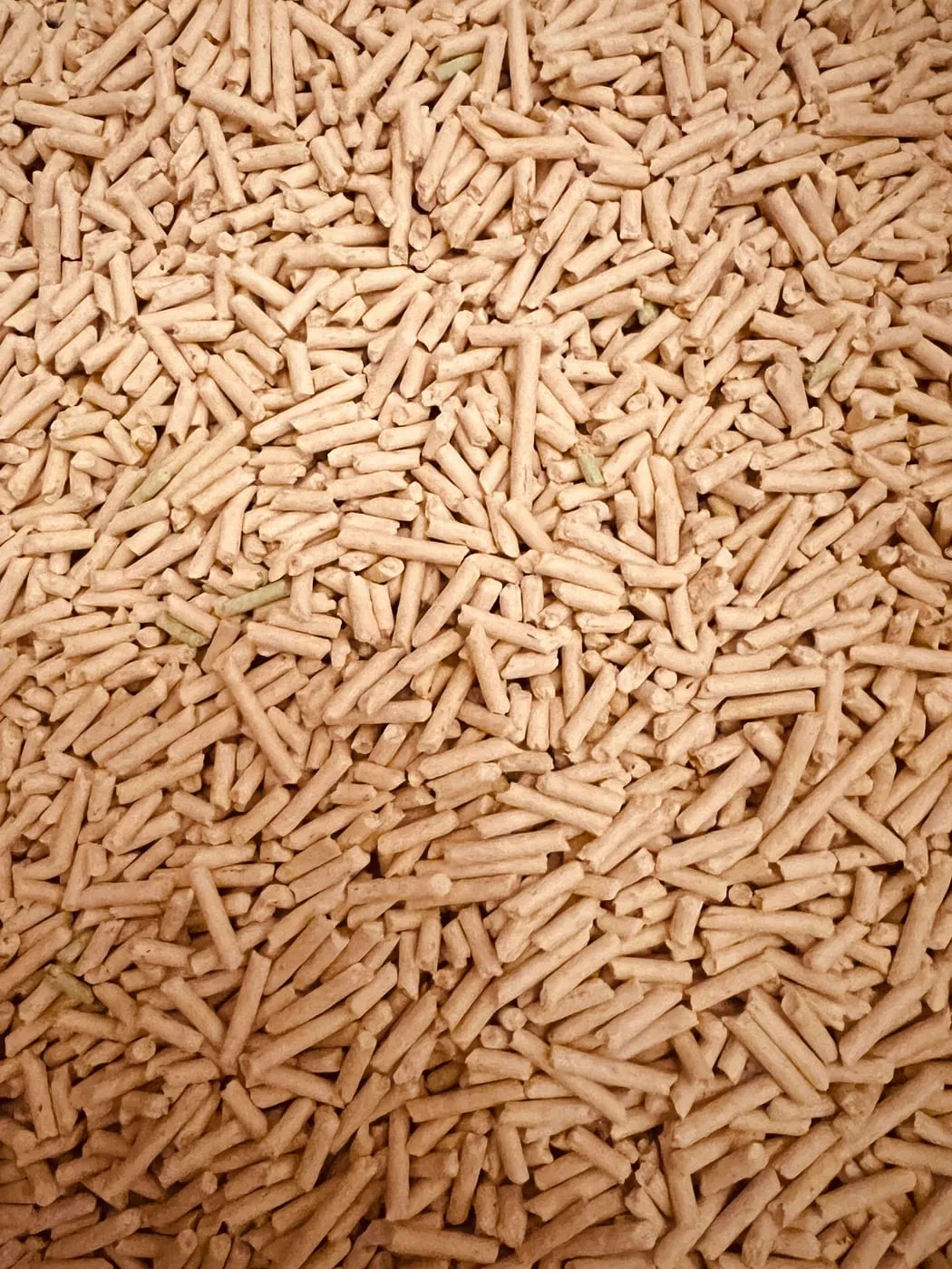 Cellulose Fiber — Product Photo