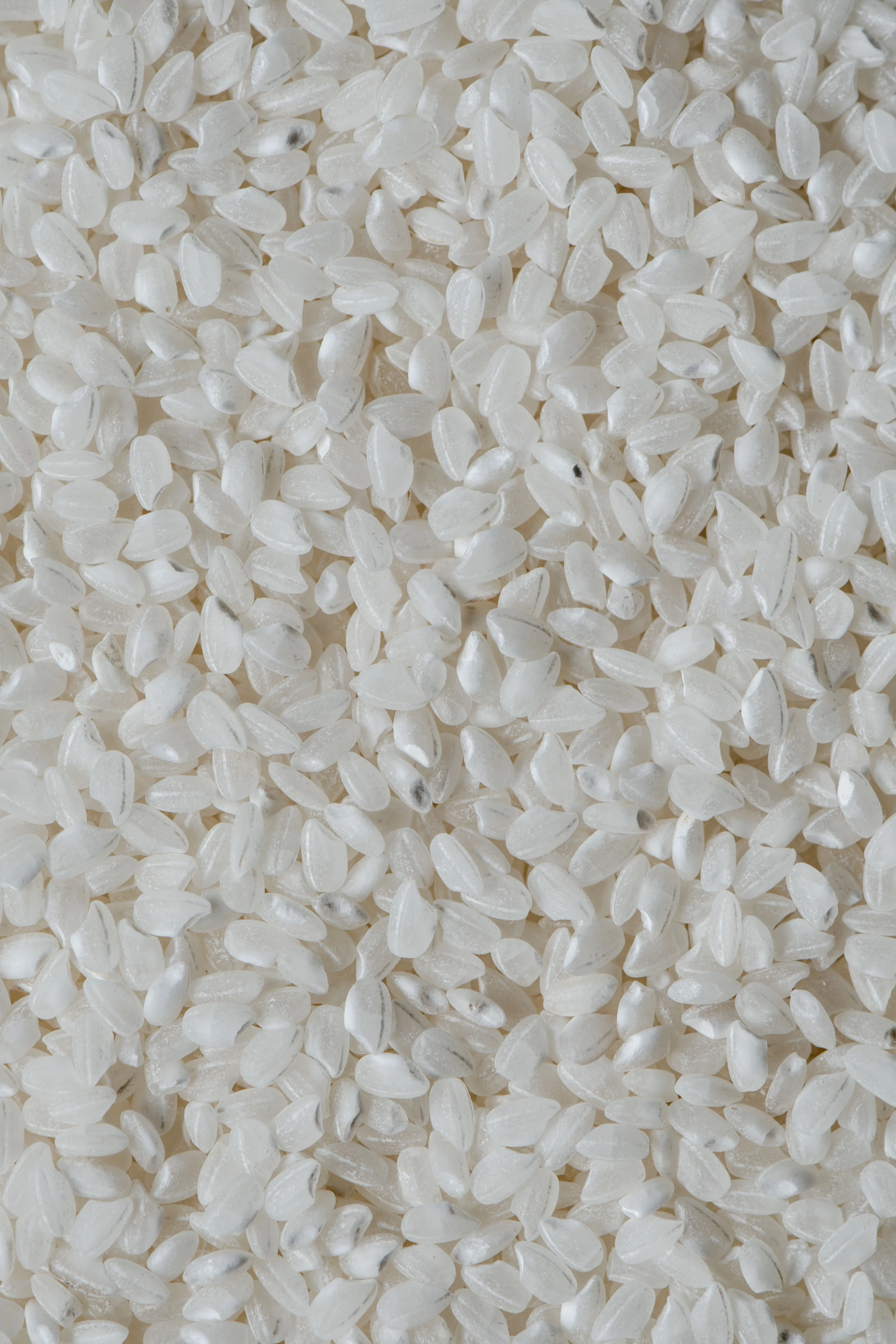 SBS Polymer Additive — Product Photo